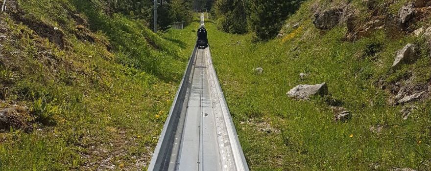 Toboggan