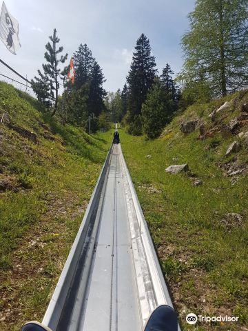 Toboggan