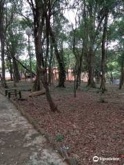 Parque Natural Municipal Luis Honorio Rolon