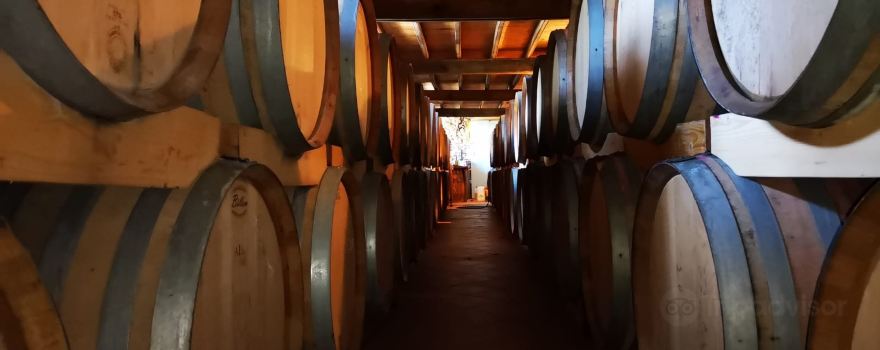 Domaine des Forges
