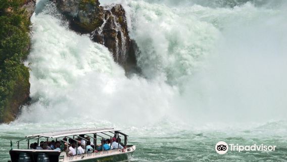 Rhine Falls and Stein am Rhein (Roundtrip from Zurich, English Round-trip)