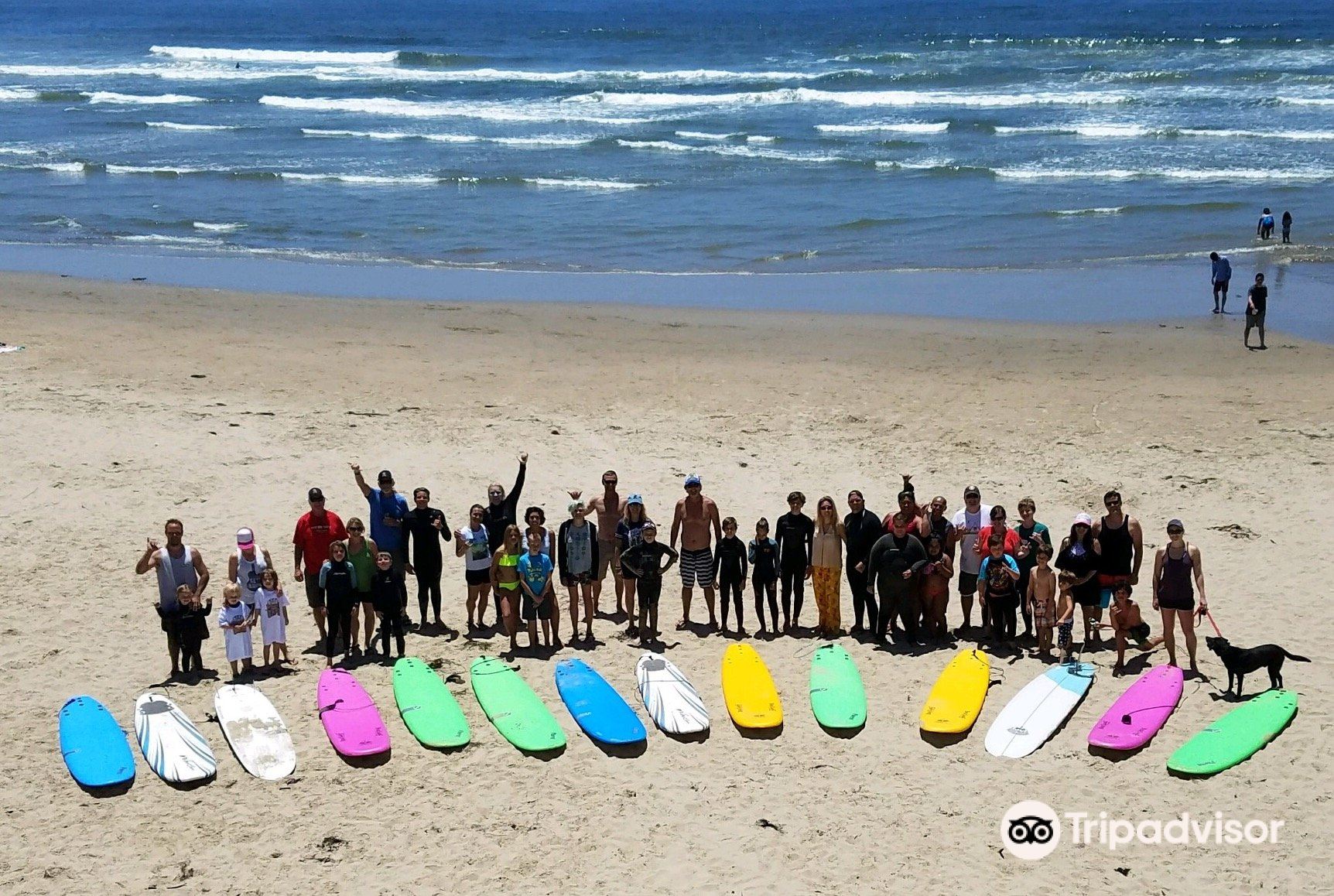 Shell Beach Surf Shop Photos Map Reviews 2024 Trip