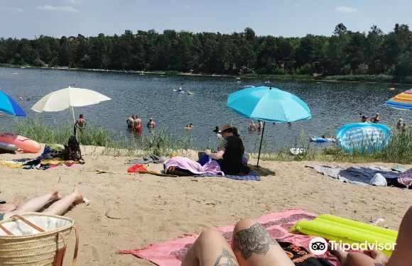 默費爾登-瓦爾多夫