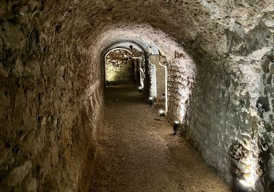 Roman Granary Museum