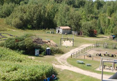 Hugli's Blueberry Ranch, Country Market & Play Park