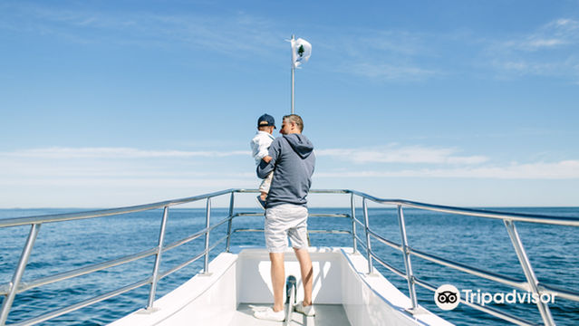 Cap’n Fish’s Whale Watch