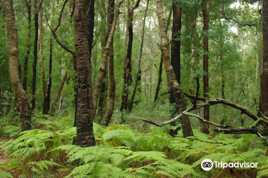 Ulladulla Wildflower Reserve