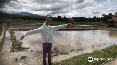 Huay Tueng Thao Reservoir