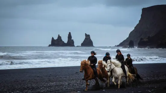 Vík Horse Adventure