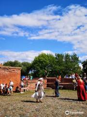 Castle in Brodnica