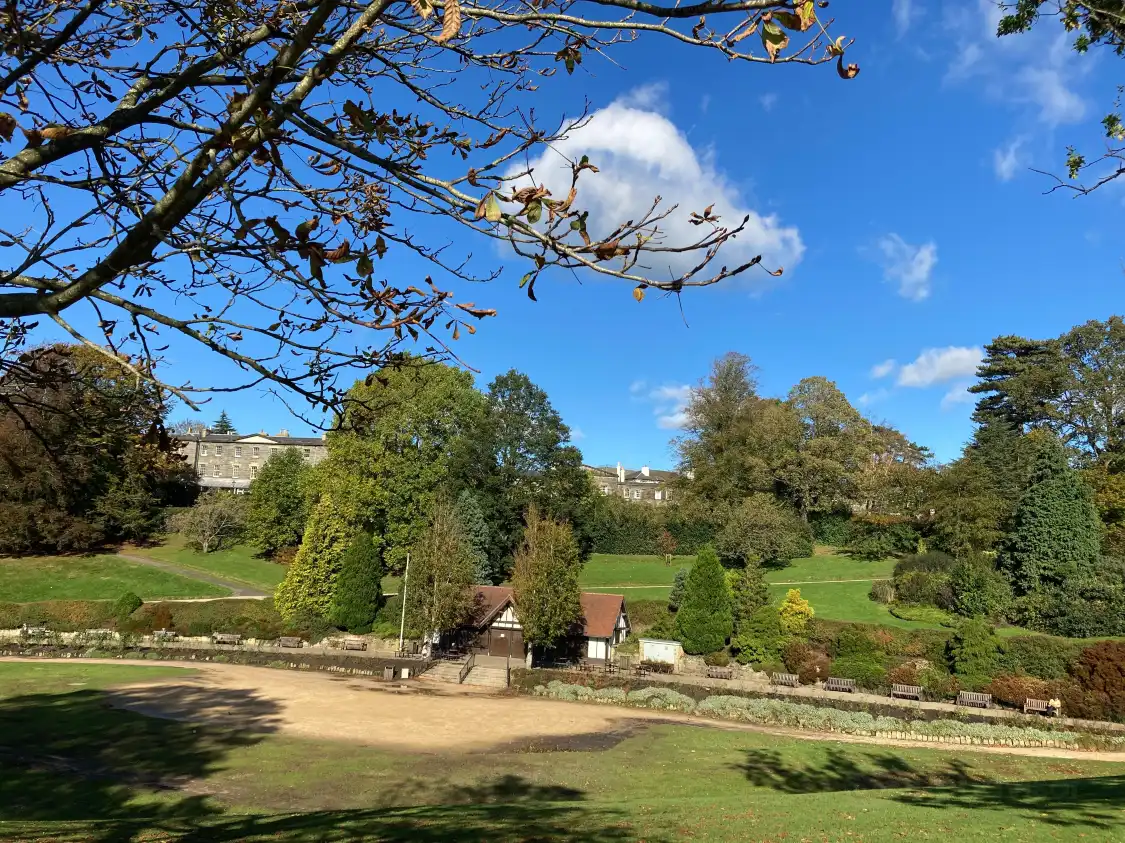 Hotels near Calverley Grounds