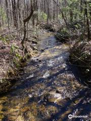 Ashmore Heritage Preserve Trail (Chandler Rock)