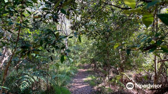 Port Stephens Native Flora Garden