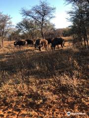 Khama Rhino Sanctuary