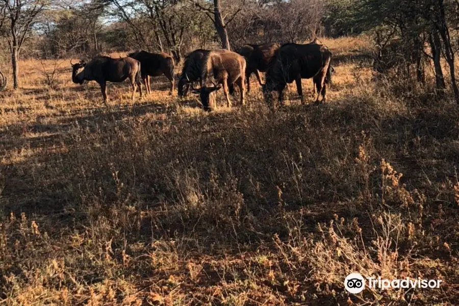 Khama Rhino Sanctuary