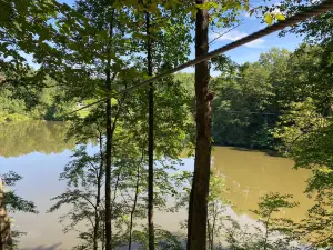 Upstate Zipline