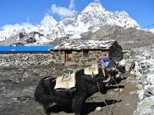 Sagarmatha National Park Museum