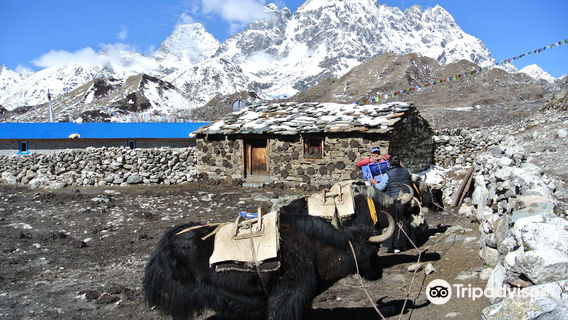 Sagarmatha National Park Museum