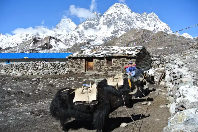 Hotels in Solukhumbu