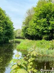 Dearne Valley Country Park