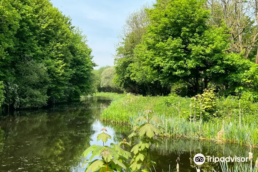 Dearne Valley Country Park