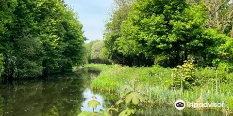 Dearne Valley Country Park