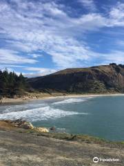 Aramoana Beach