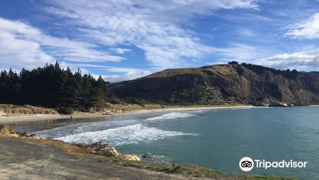 Aramoana Beach