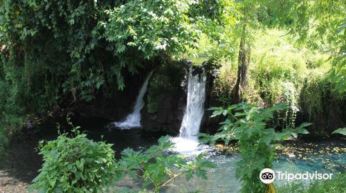 Afu Aau Waterfalls