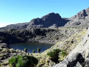 Mount Kenya