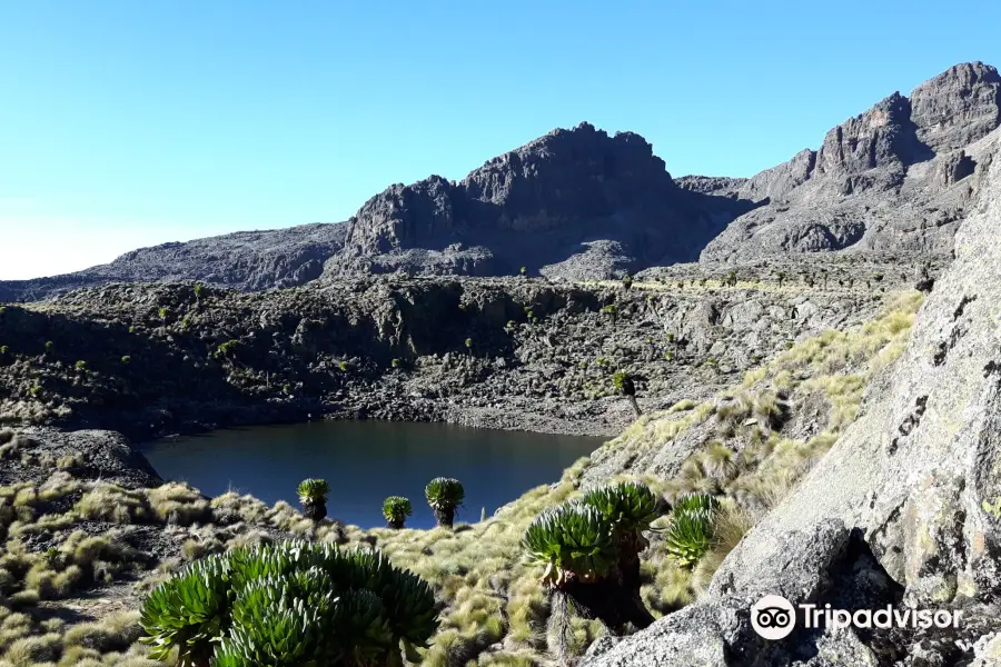 Mount Kenya