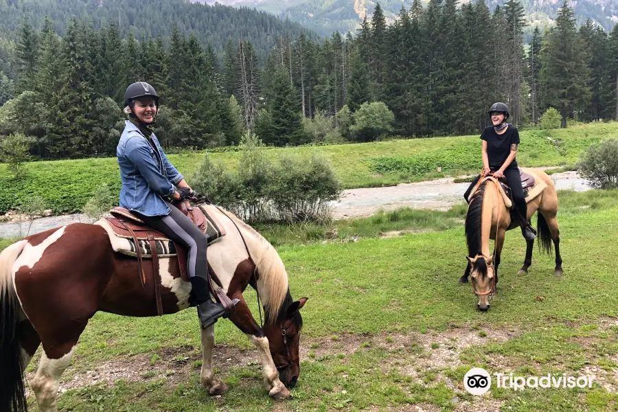 Charlotte Horse Riding