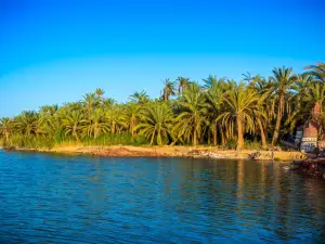 Fatnis Island （Fantasy Island）