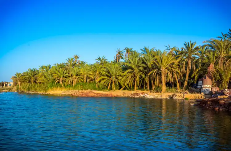Hotels in Siwa Oasis