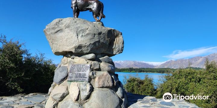 The Sheepdog Memorial