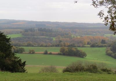 Newlands Corner