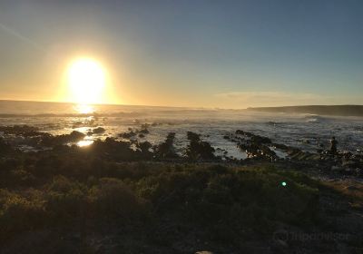 Grotto Bay Coastal Nature Reserve