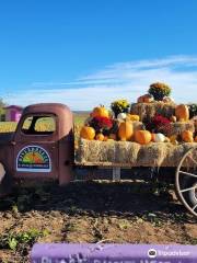 Riverbreeze Corn Maze Farm