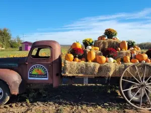 Riverbreeze Corn Maze Farm