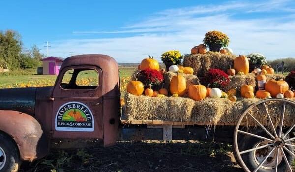 Riverbreeze Corn Maze Farm