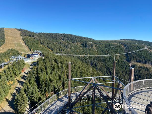 Sky Bridge 721 - Dolní Morava