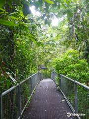 Daintree Discovery Centre