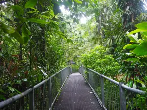 Daintree Discovery Centre