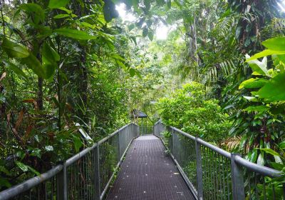 Daintree Discovery Centre