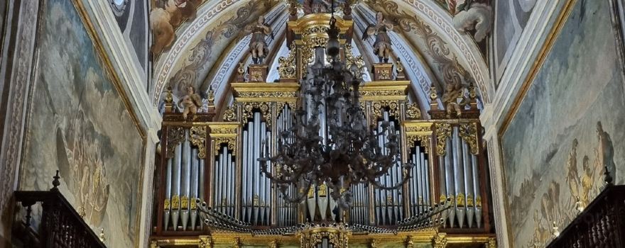 Saint Peter's Cathedral