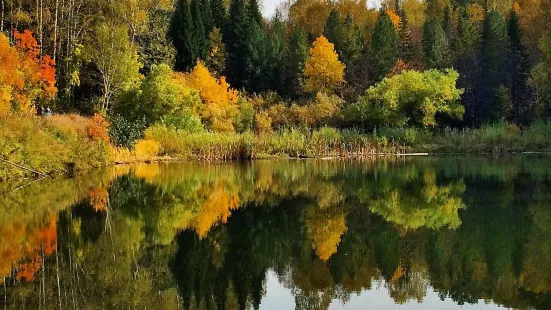 Central Siberian Botanical Garden