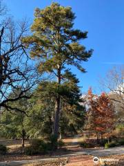 Donald E. Davis Arboretum