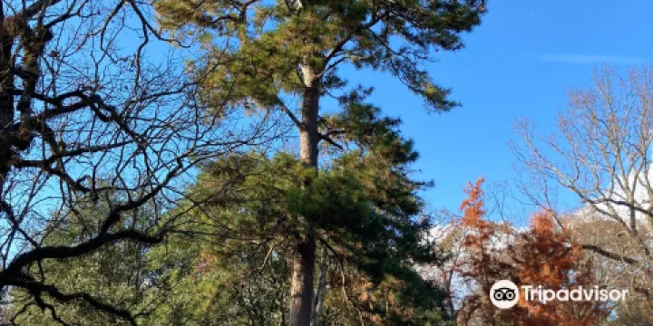 Donald E. Davis Arboretum