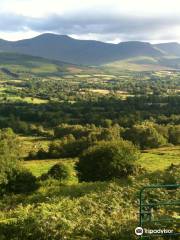 Glen of Aherlow