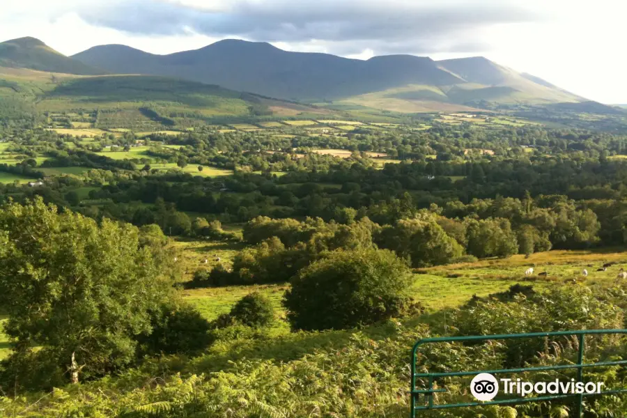 Glen of Aherlow